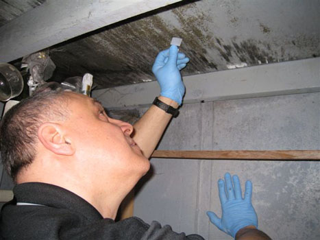 Mold Tape Sampling